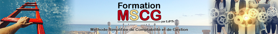 Formation MSCG